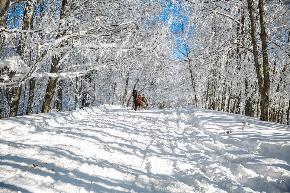 The number of visitors to Georgia's protected areas increased by 43% y/y January 2018 geotv.ge